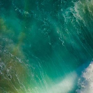 Meet your Posher, Chase